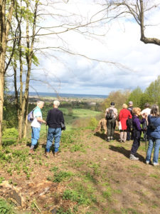 Tudor Squares Walk Tring park 