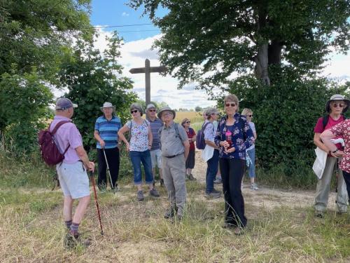 Tudor Squares Walkers 9th June 2022