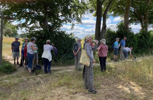 Tudor Squares Walkers 9th June 2022